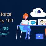 Salesforce Security 101