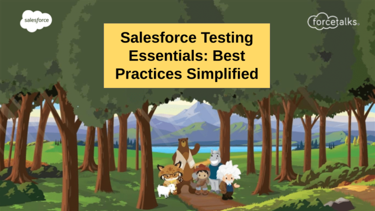 Salesforce Testing Practices