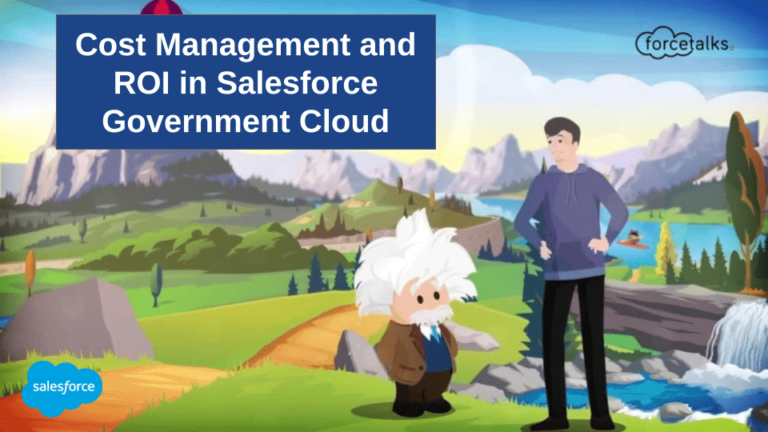 Cost Management and ROI in Salesforce Government Cloud