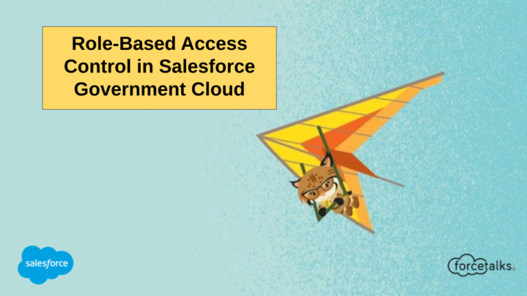 Role-Based Access Control in Salesforce Government Cloud